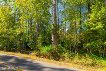 115 Pamela Dr, Satsuma, FL 32189