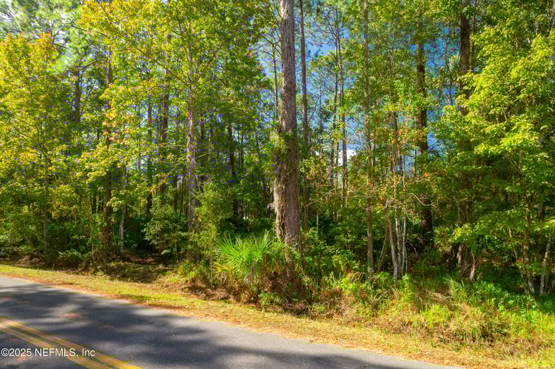 115 Pamela Dr, Satsuma, FL 32189