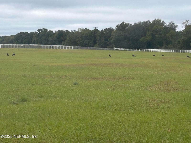 5411 State Road 21, Keystone Heights, FL 32656