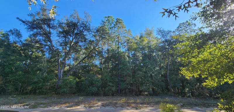 5550 Jenkins Loop Dr, Keystone Heights, FL 32656