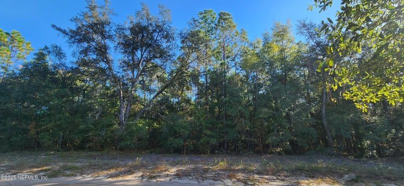 5550 Jenkins Loop Dr, Keystone Heights, FL 32656