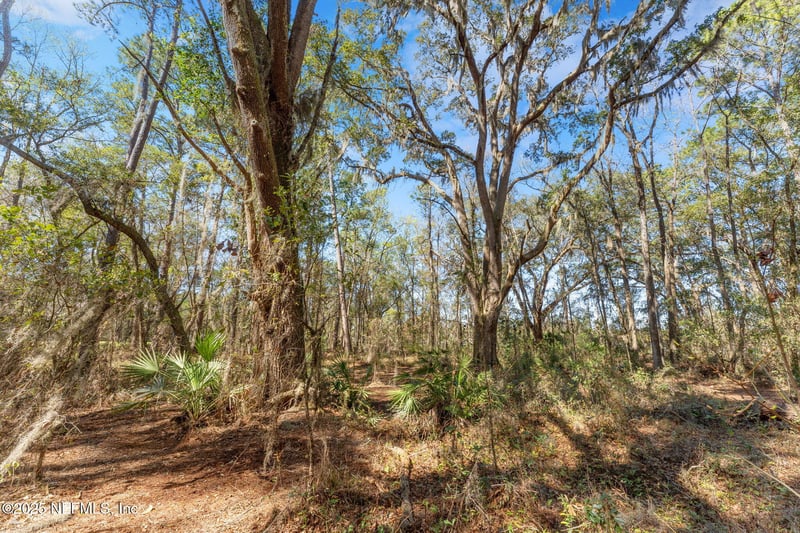 0 Polka Rd, Clay Hill, FL 32234