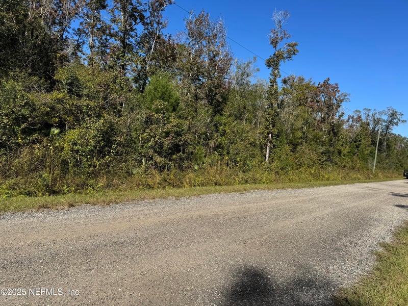 10645 Turpin Ave, Hastings, FL 32145