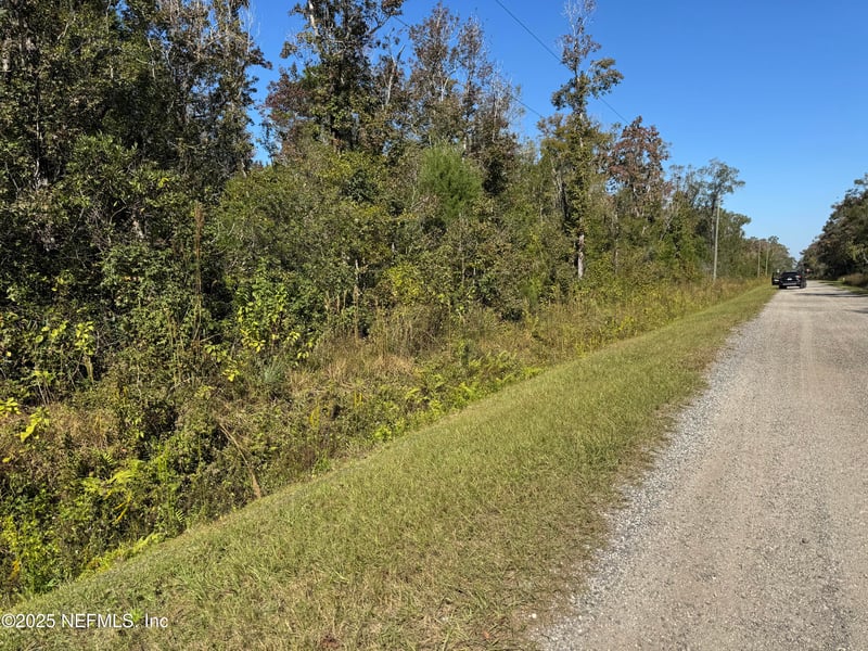 10645 Turpin Ave, Hastings, FL 32145