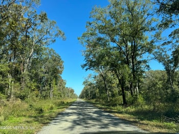 10645 Turpin Ave, Hastings, FL 32145