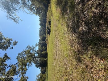 2113 State Road 16, Green Cove Springs, FL 32043