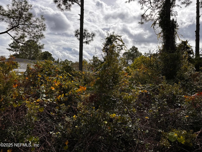 88 Princess Ruth Ln, Palm Coast, FL 32164