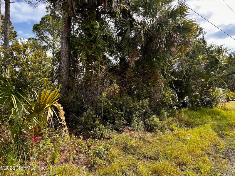 88 Princess Ruth Ln, Palm Coast, FL 32164