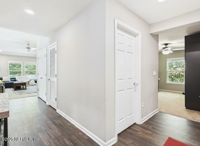 3199 Angora Bay Dr, Middleburg, FL 32068