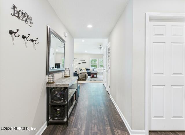 3199 Angora Bay Dr, Middleburg, FL 32068