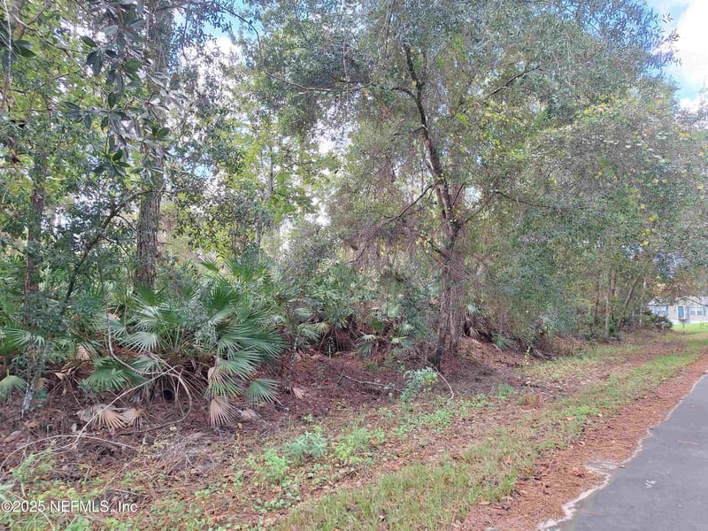 201 Pineway West Ave, Satsuma, FL 32189