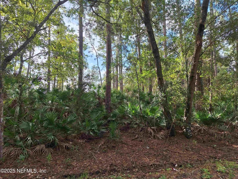 201 Pineway West Ave, Satsuma, FL 32189