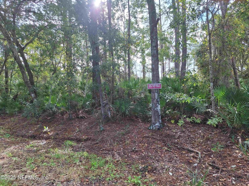 201 Pineway West Ave, Satsuma, FL 32189