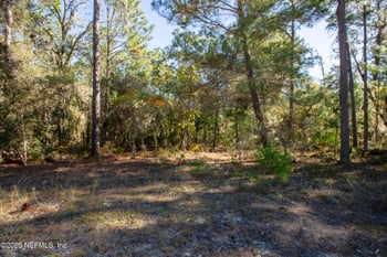 000 Hillsborough Ave, Florahome, FL 32140