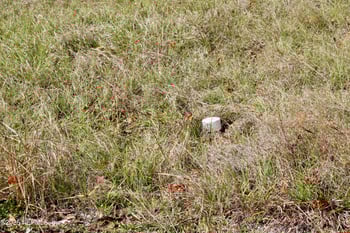 3990 Appaloosa Rd, Middleburg, FL 32068