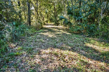 16082 Ressie Dr, Jacksonville, FL 32218