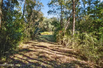 16082 Ressie Dr, Jacksonville, FL 32218