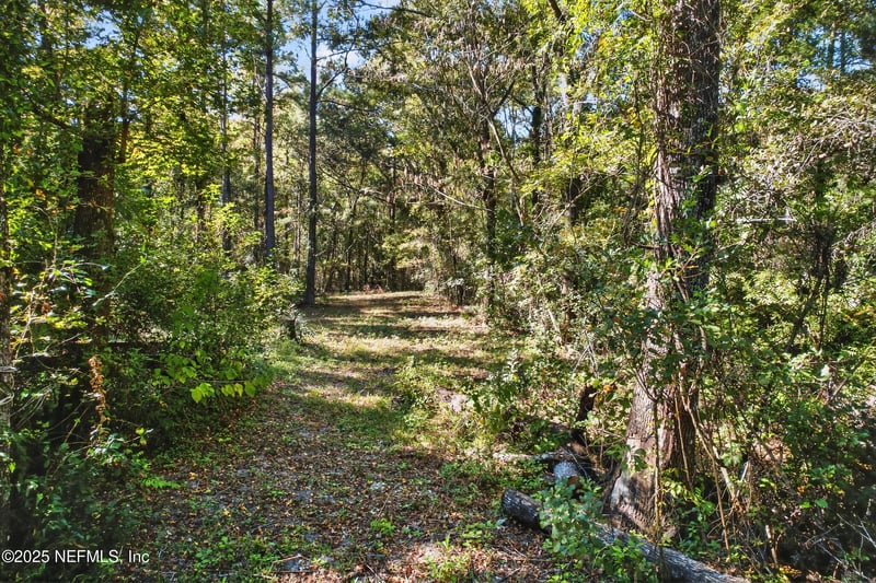 16082 Ressie Dr, Jacksonville, FL 32218