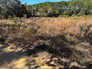 220 Como Cir, Interlachen, FL 32148