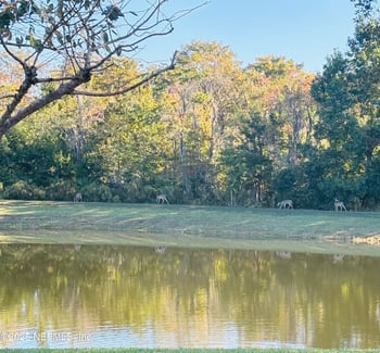 1385 Perth Rd, Jacksonville, FL 32221