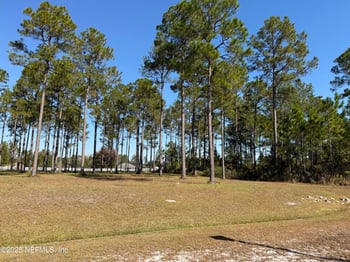 10107 Hunters Chase Ct, Jacksonville, FL 32219