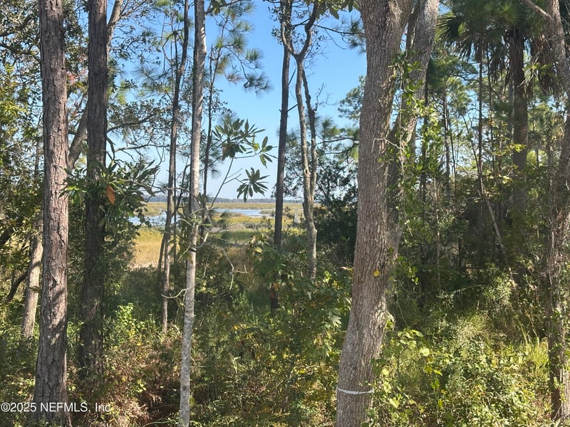 118 Historic Brick Ln, St Augustine, FL 32095