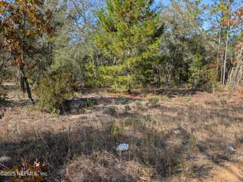 0570-0020 Violet Ave, Interlachen, FL 32148