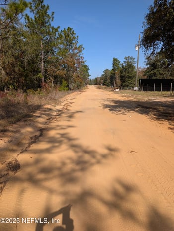 0570-0020 Violet Ave, Interlachen, FL 32148