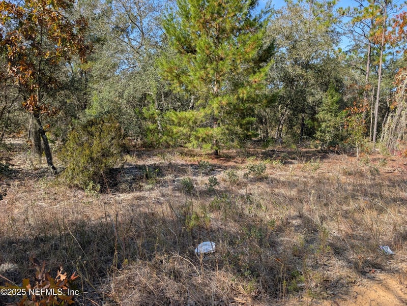 0570-0020 Violet Ave, Interlachen, FL 32148