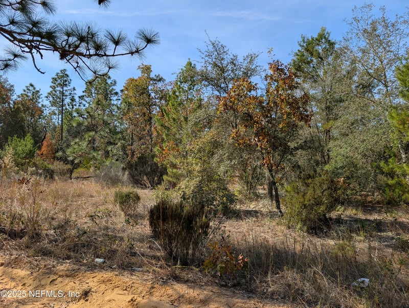 0570-0020 Violet Ave, Interlachen, FL 32148