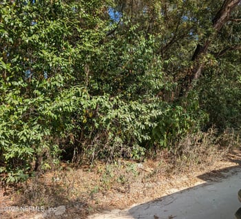 236 2nd Way, Interlachen, FL 32148