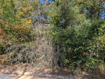 236 2nd Way, Interlachen, FL 32148