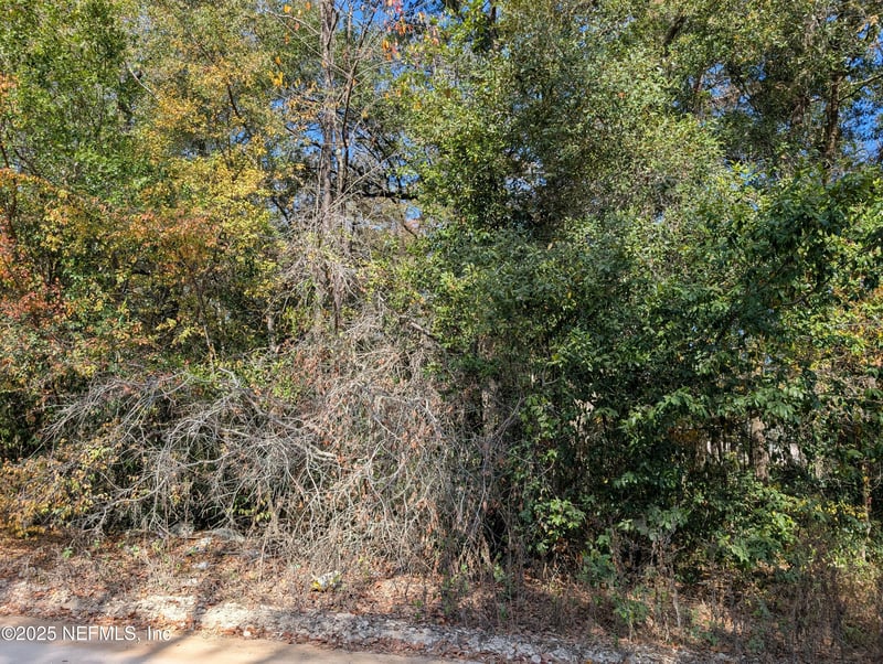 236 2nd Way, Interlachen, FL 32148