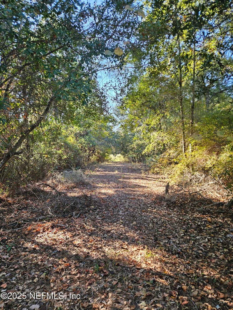 306 Lakeshore Dr, Starke, FL 32091