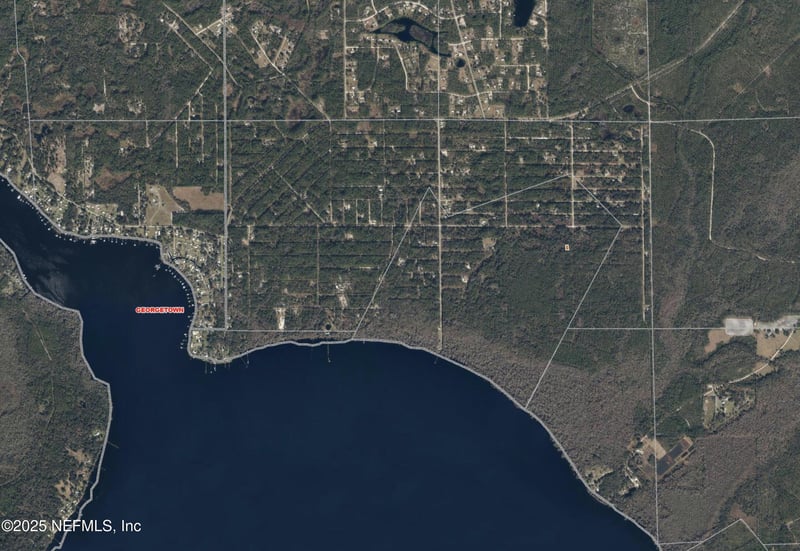 234 Laisy Dr, Georgetown, FL 32139