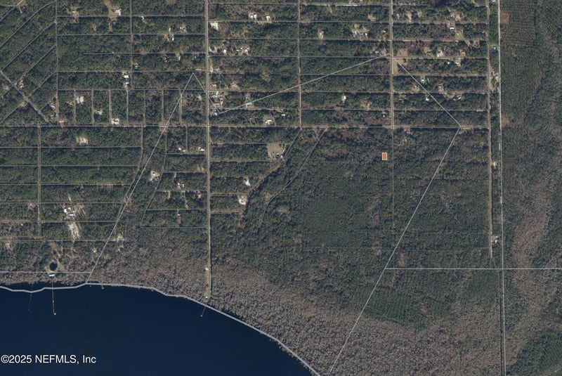 234 Laisy Dr, Georgetown, FL 32139