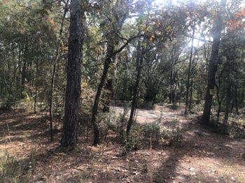 105 Nevada Dr, Satsuma, FL 32189