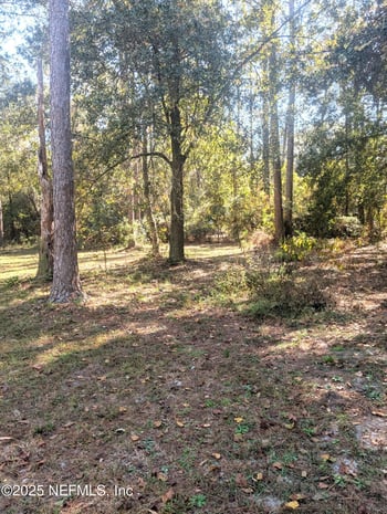 147 Melanie Ln, Middleburg, FL 32068