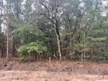 Trout Lake Cir, Interlachen, FL 32148