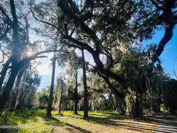 0 Hickory Bluff Ln, Jacksonville, FL 32223