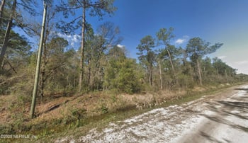 10655 Flikkema Ave, Hastings, FL 32145