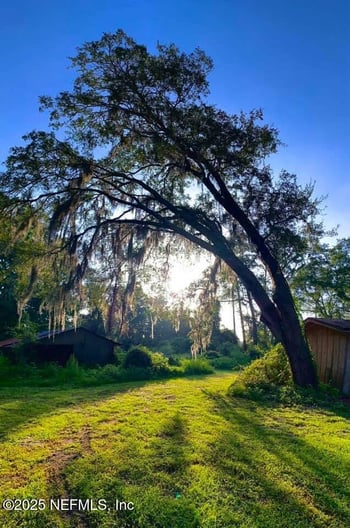 3064 Moody Ave, Orange Park, FL 32065