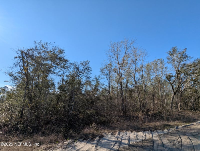 2589 58 Ave, Jennings, FL 32053