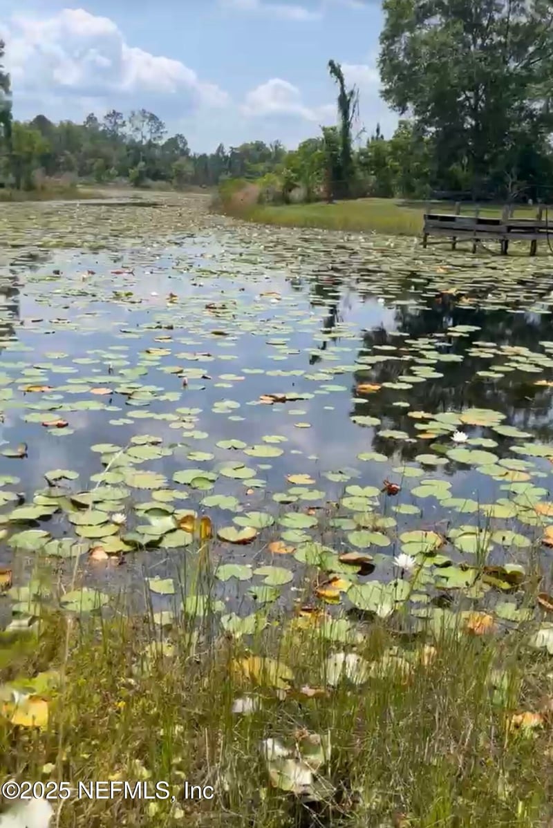 8 Appaloosa Dr, Interlachen, FL 32148