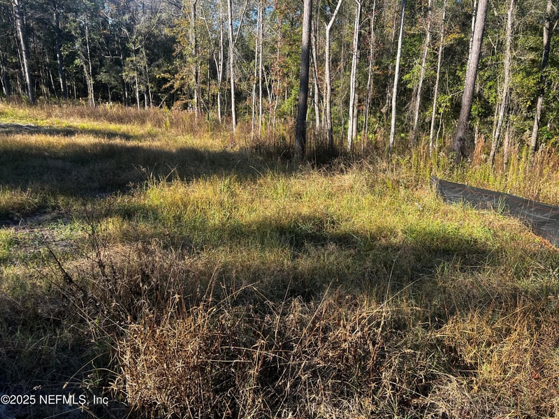 4825 Sedge St, Middleburg, FL 32068