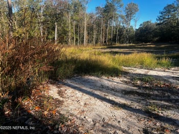 4819 Sedge St, Middleburg, FL 32068