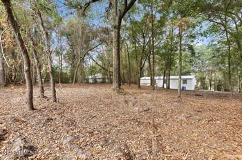 66 Panda Ave, Middleburg, FL 32068