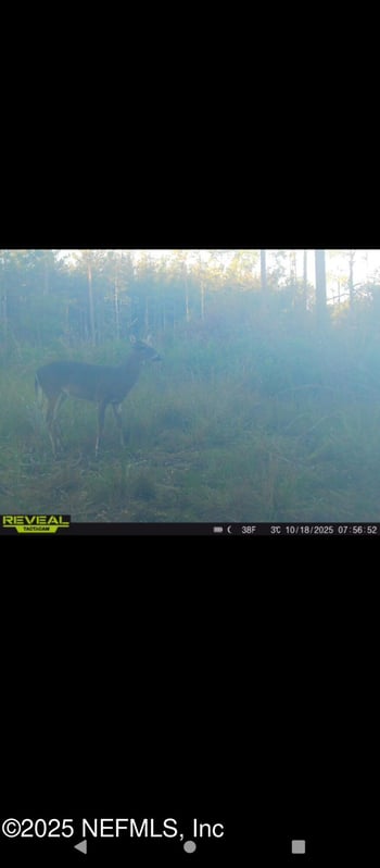 1757 Whippoorwill Ln, Glen St Mary, FL 32040