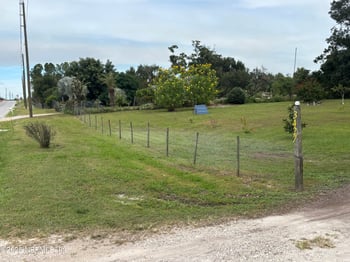 3427 Golden Gem Rd, Apopka, FL 32227