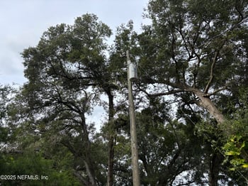 3325 Golden Gem Rd, Apopka, FL 32712